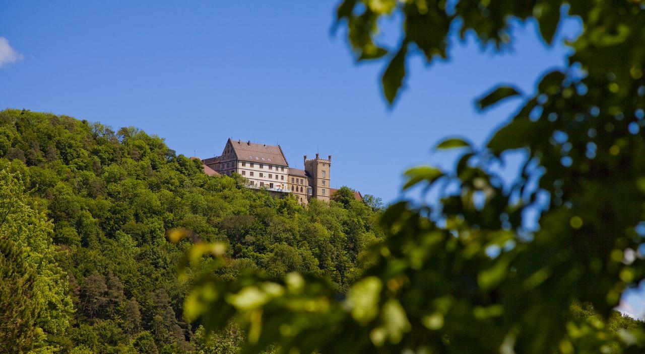 Schloss Weitenburg Starzach المظهر الخارجي الصورة